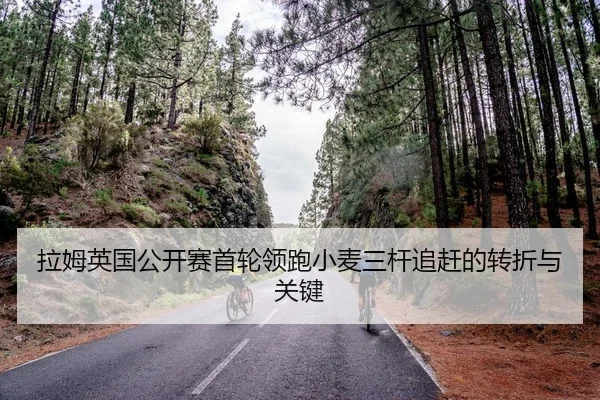 la-mu-ying-guo-gong-kai-sai-shou-lun-ling-pao-xiao-mai-san-gan-zhui-gan-de-zhuan-zhe-yu-guan-jian-2-699.jpg